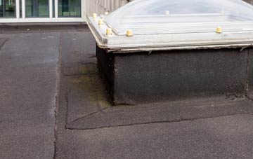 disadvantages of Chapmans Well flat roofs